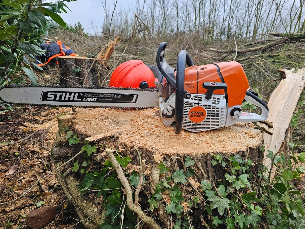Tree Removal