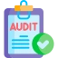 audit icon