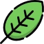 leaf icon