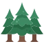 pine-tree icon