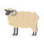 sheep icon