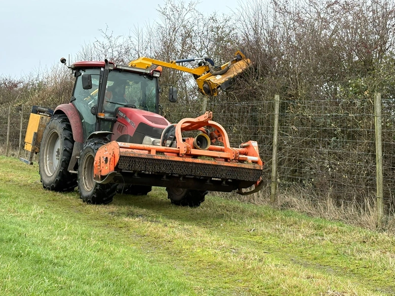 Hedge Cutting Photo