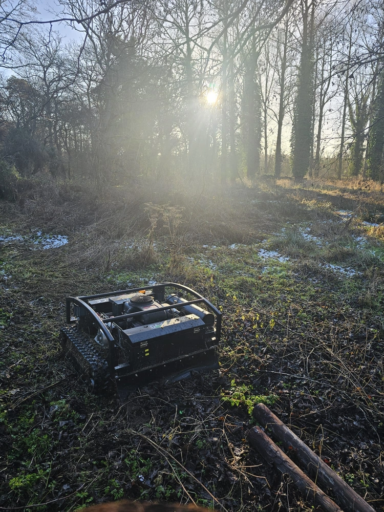 Robo Mowing