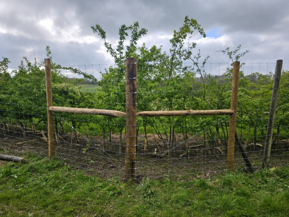 Security Fencing