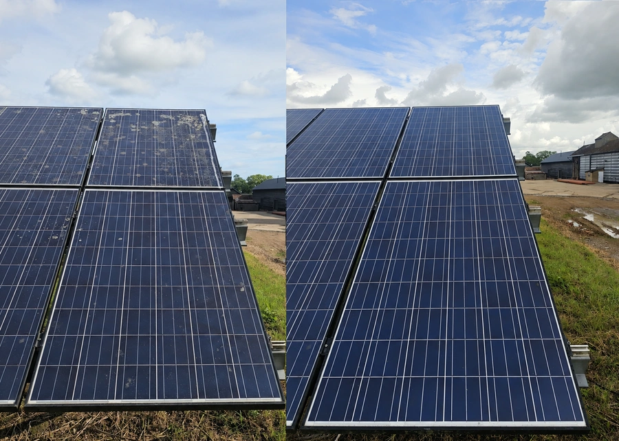 Lichen Removal Before & After